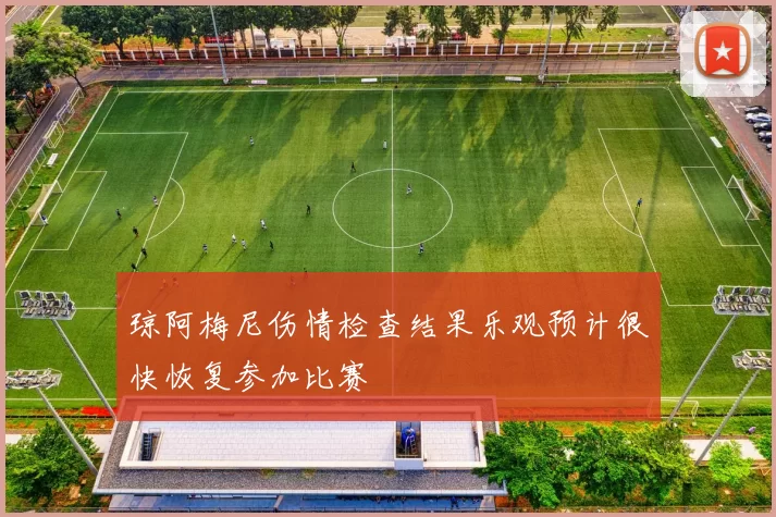 琼阿梅尼伤情检查结果乐观预计很快恢复参加比赛